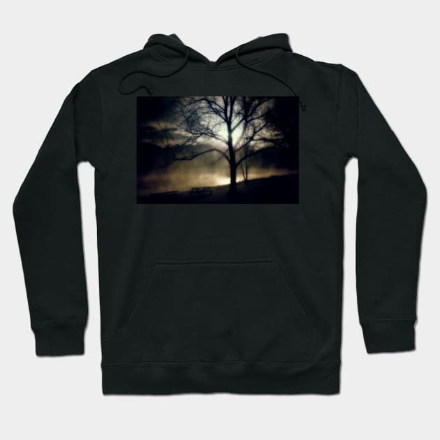 Shadows At Sunrise Hoodie by JimDeFazioPhotography